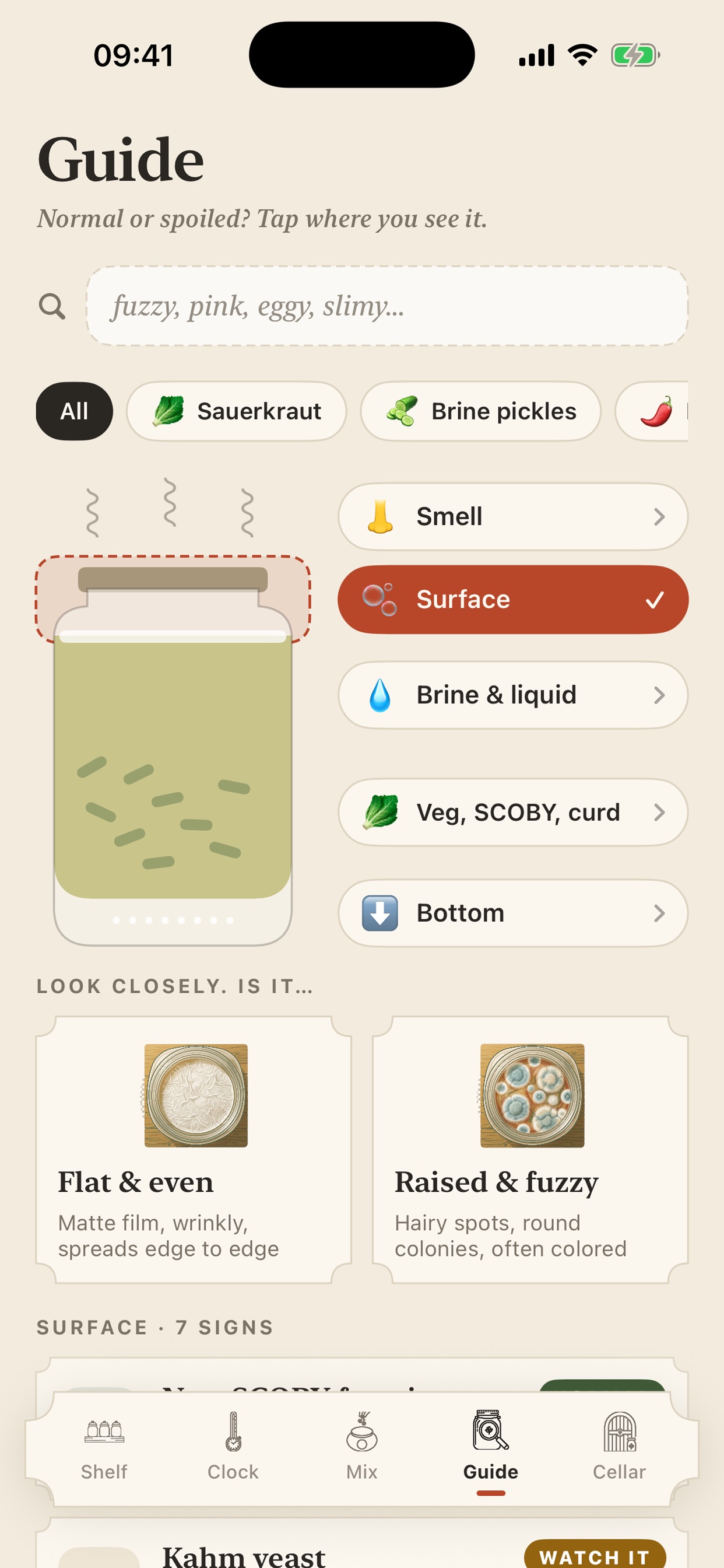 Screenshot 4 of Crockwise: Ferment Tracker
