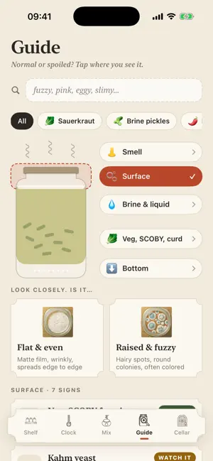 Crockwise: Ferment Tracker screenshot 4