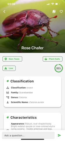 InsectSnap: AI Bug Identifier Screenshot 5 of 5