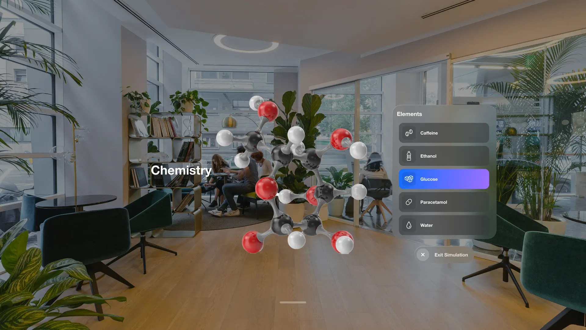 Inviewer screenshot 2