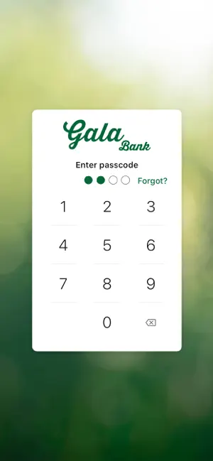 Gala Bank screenshot 2