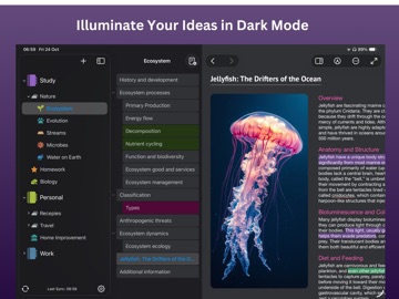 Outline: Notes and More iPad screenshot
