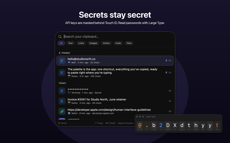 Clippy: Clipboard Manager iPhone screenshot