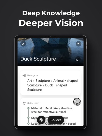 GazeGo: AI Vision Identifier iPad screenshot