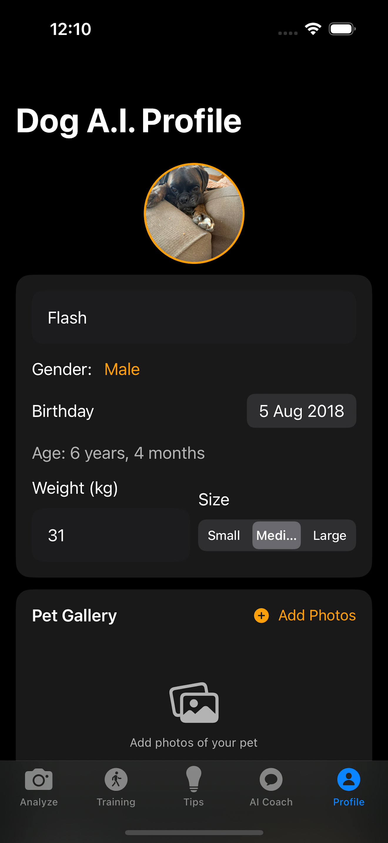 Dog AI