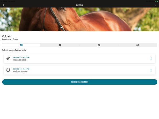 Screenshot #5 pour Royal Horse