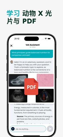 兽医人工智能：宠物动物研究 screenshot