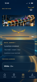 MSC Method: Performance screenshot 3