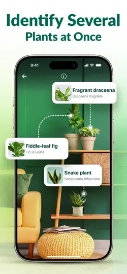 Plantum・Bitki Ve Çiçek Tanıma iPhone Ekran Görüntüsü 4