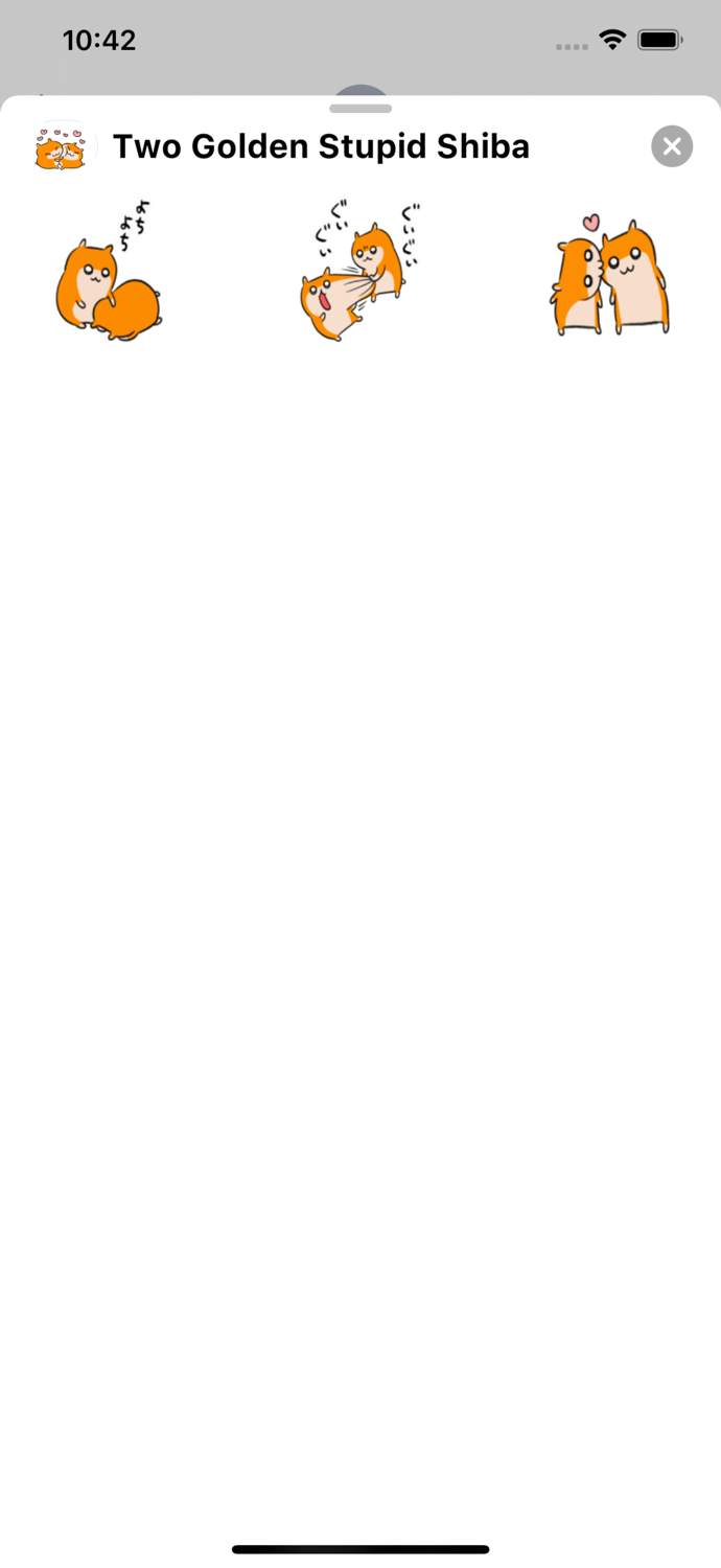 Two Golden Stupid Shiba