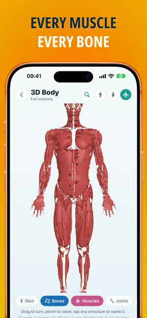 Anatomia - human anatomy quiz screenshot 4