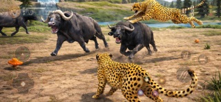Cheetah Hunting Simulator Game Screenshot 1 of 5