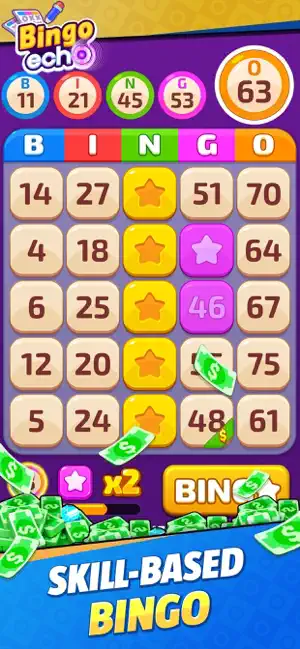 Bingo Echo screenshot 3