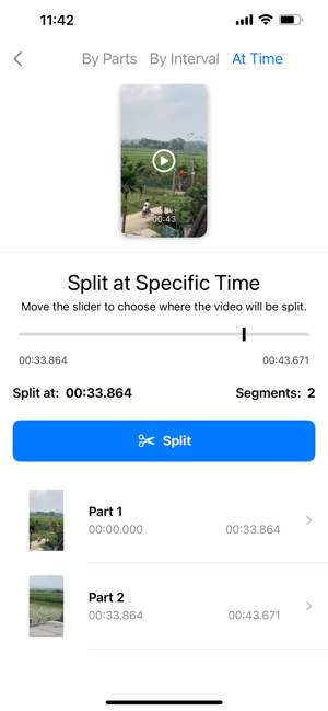 VidVid - Split Video Screenshot
