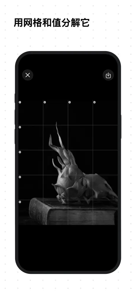 Artist Reference & Value Study 绘画参考与价值研习工具应用截图