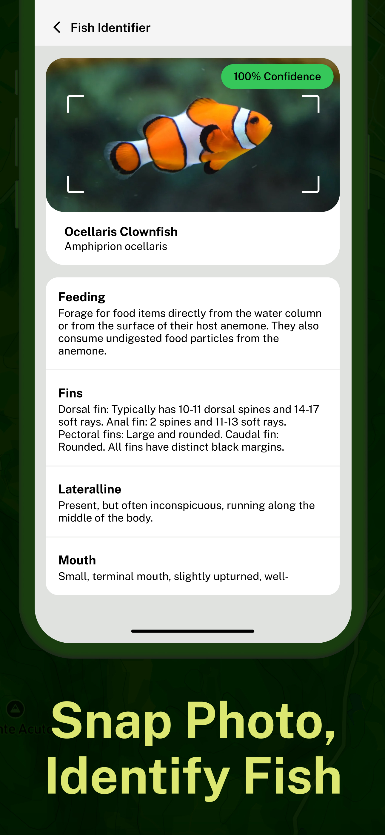Fishing Points - FishMaps.AI screenshot 4