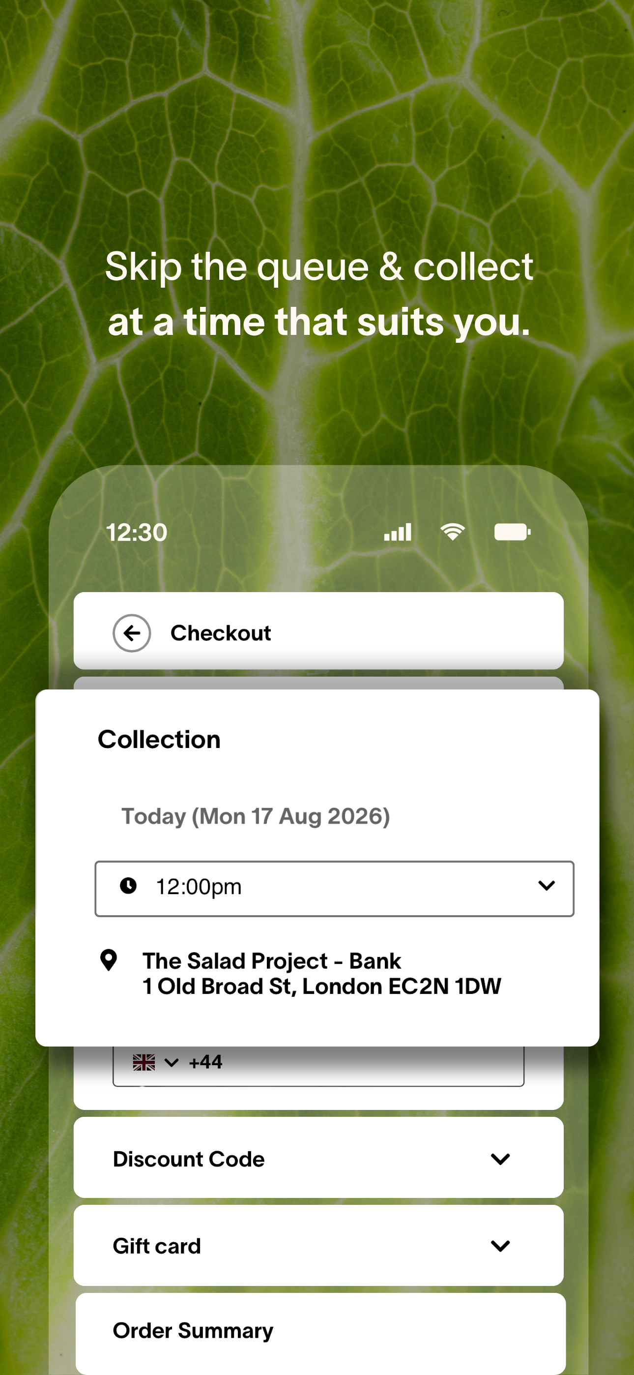 The Salad Project screenshot 4