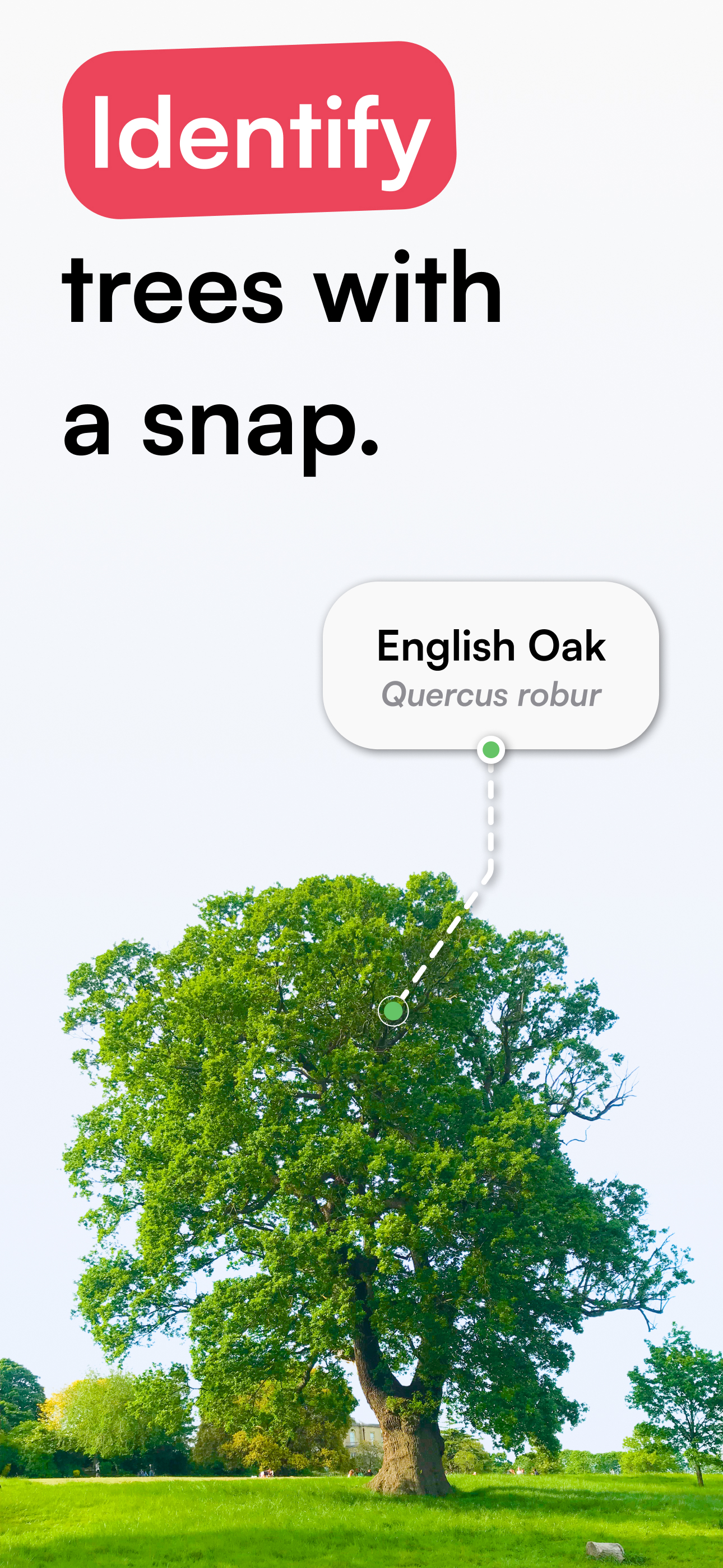 TreeID - Tree Identifier