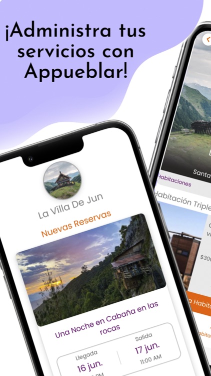 Servicios Appueblear