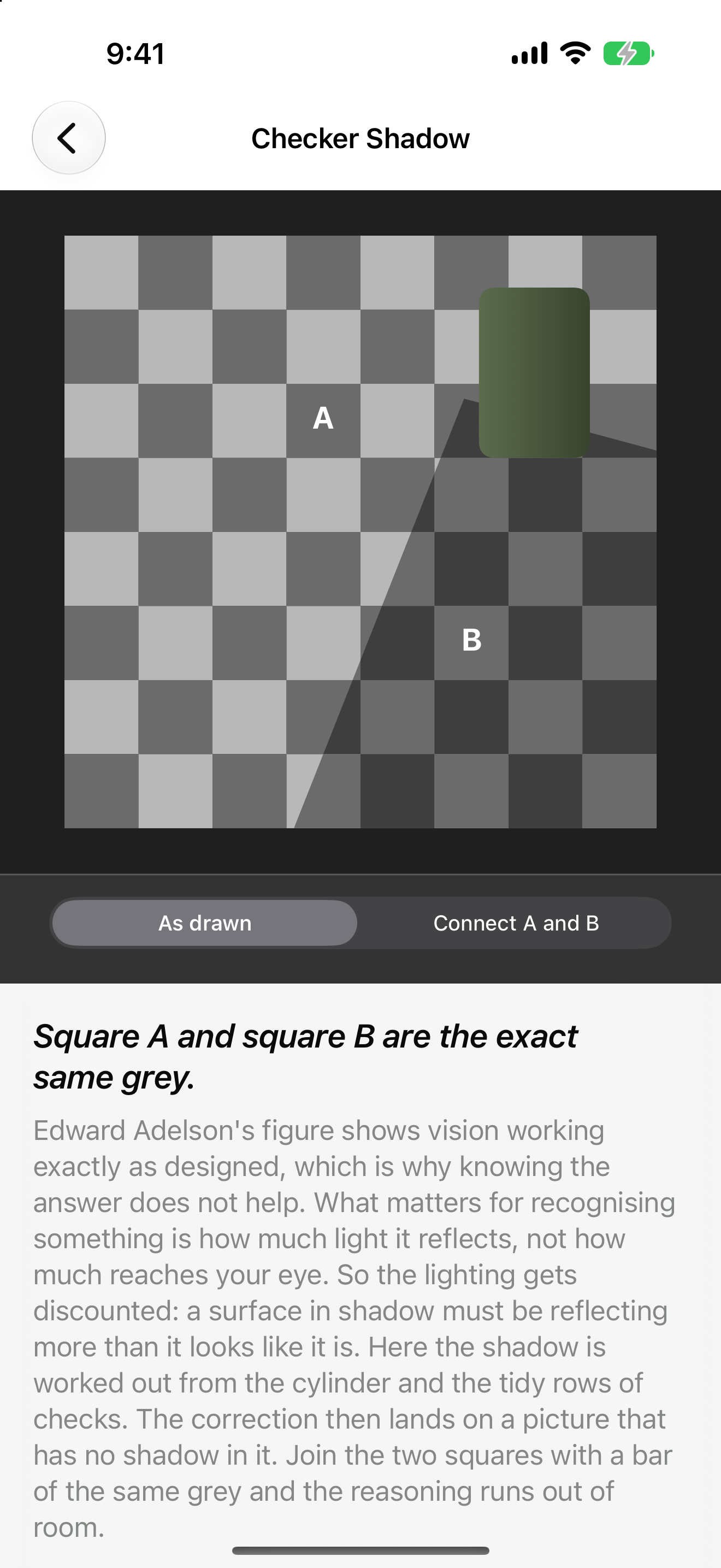 Optic Illusion: Eye Tricks screenshot 4