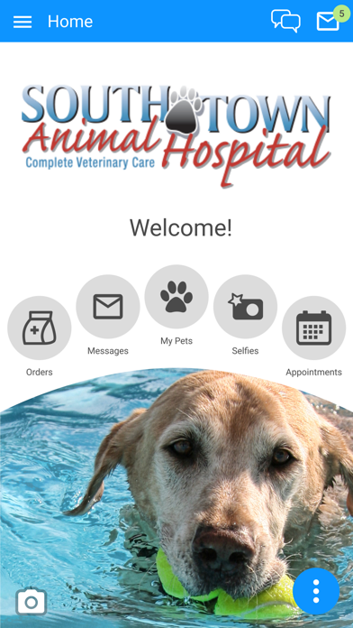 South Town Animal Hospital Screenshot