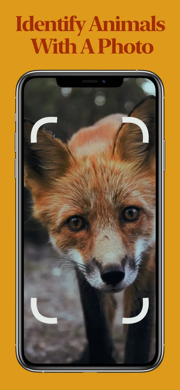 Screenshot #1 pour Animal Identifier