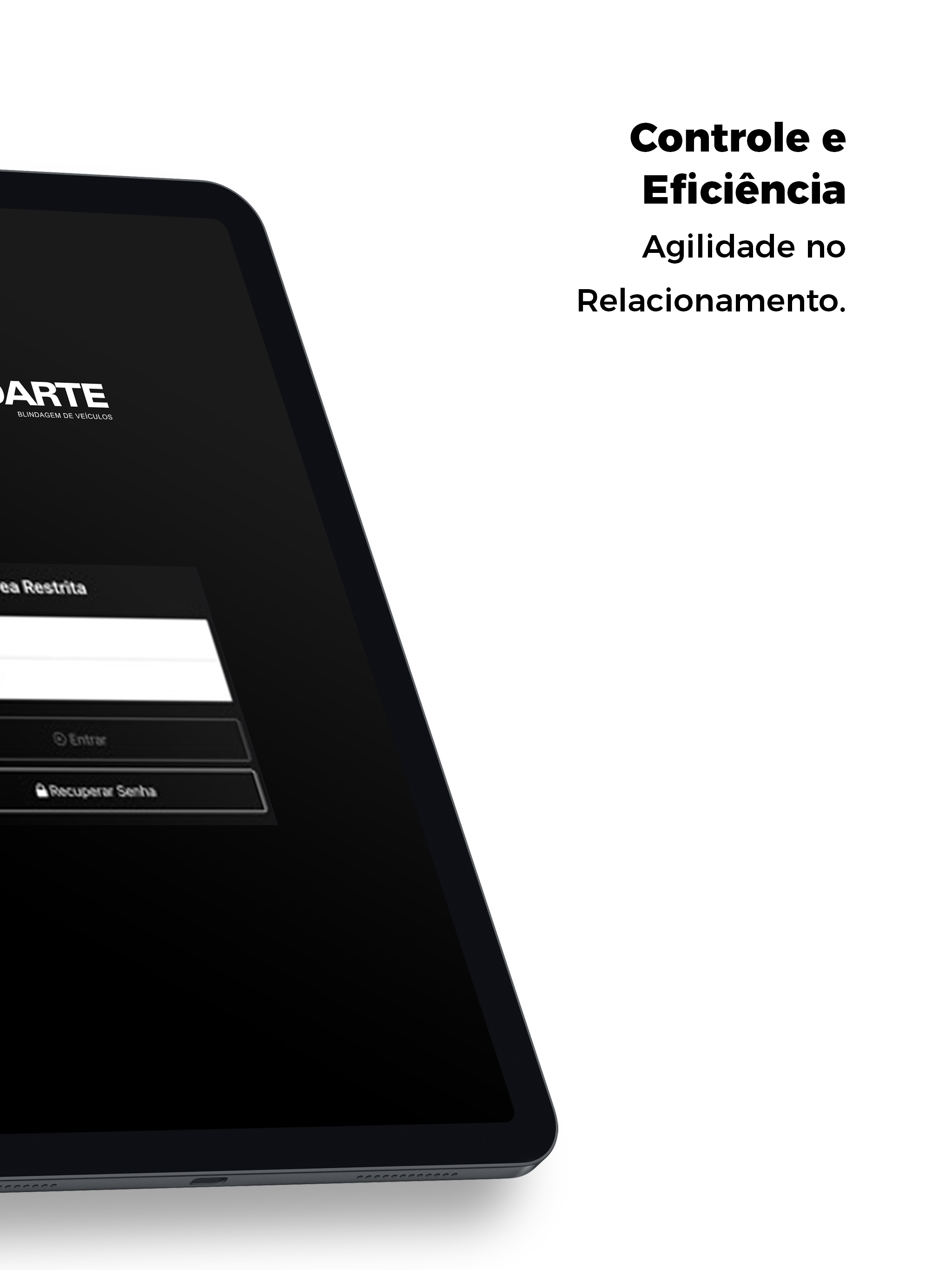 BLINDARTE BLINDAGENS screenshot 7