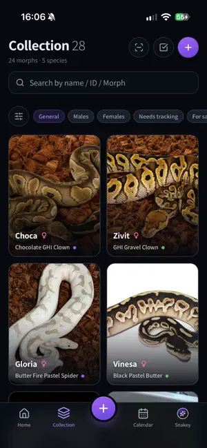 Reptilegent screenshot 2