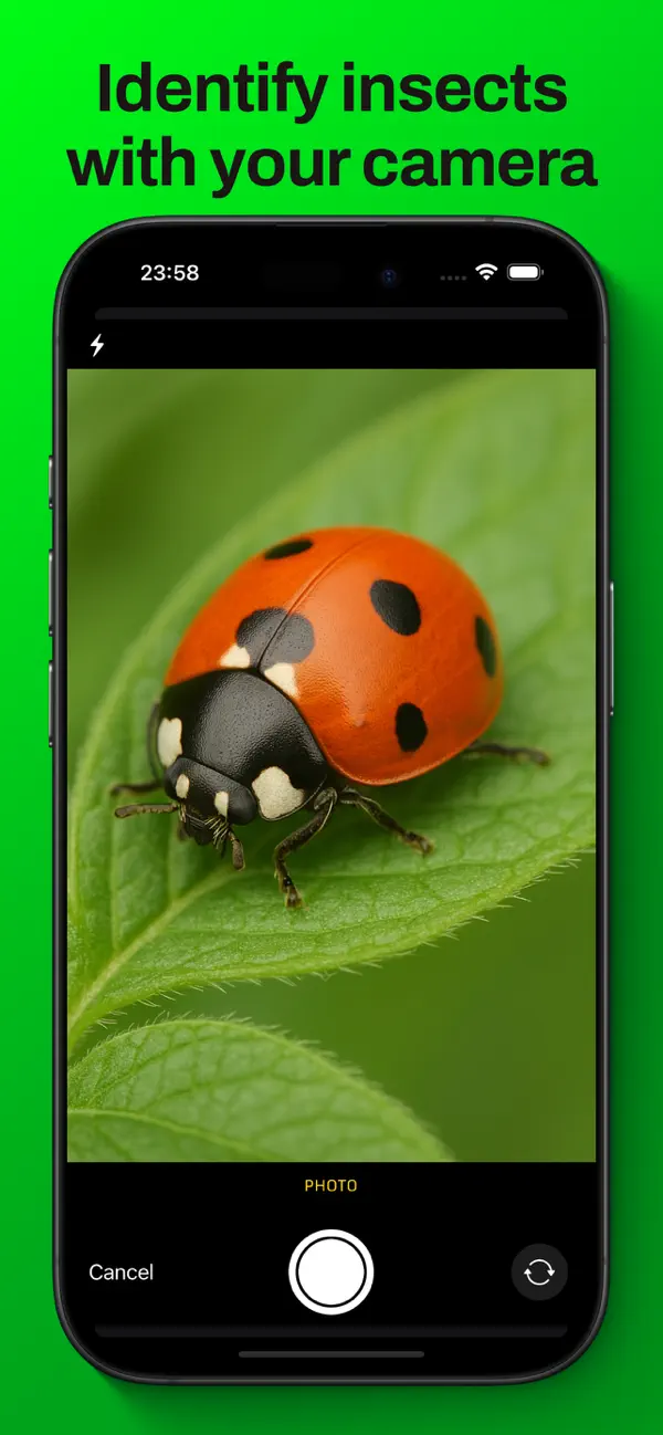 #1. Bug Identifier - Insect ° (iOS) Podle: Ideas All Day Ltd.