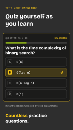VisiGrab: Algorithms & DSA screenshot 5