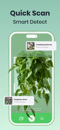 Plant & Bug Identifier : capture d’écran 3 sur 7