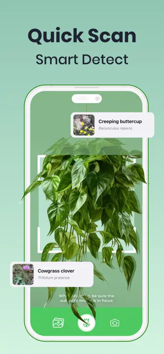 Plant & Bug Identifier: Screenshot 3 von 7