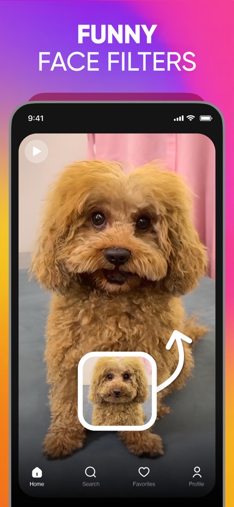 Revive: AI Face Photo Animator - Cet outil propose des filtres faciaux créatifs qui animent les expressions, transformant des photos simples en moments hilarants grâce à la détection précise des visages et l'application d'effets dynamiques.