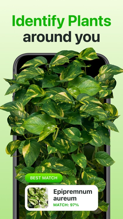 Plant Identifier & Care App screenshot-0