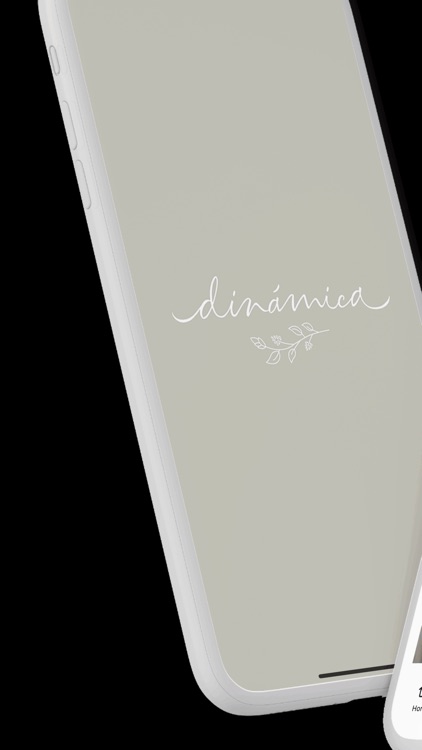 Dinamica Tienda