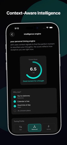 ThoughtTrack: Voice Capture screenshot