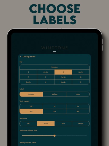 Windtone by Sonofield iPad screenshot