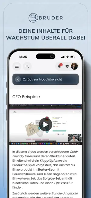 Bruder Consulting screenshot 4