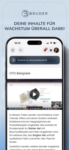Bruder Consulting screenshot