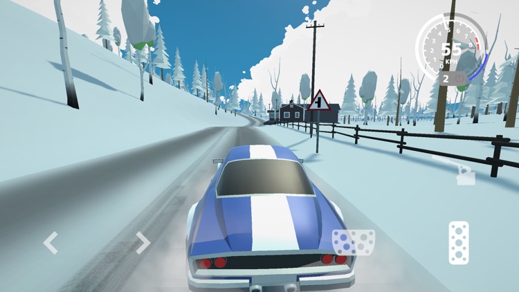 N3Rally screenshot-3