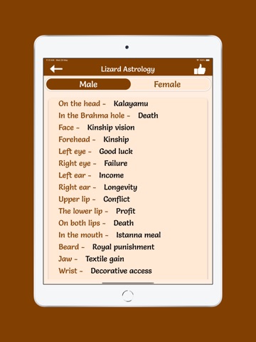 Hindu Calendar 2026 iPad screenshot
