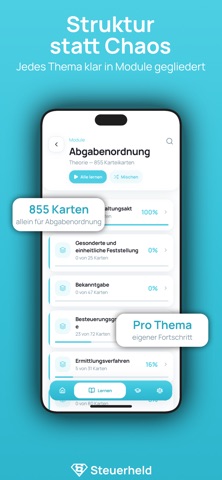 Steuerheld screenshot