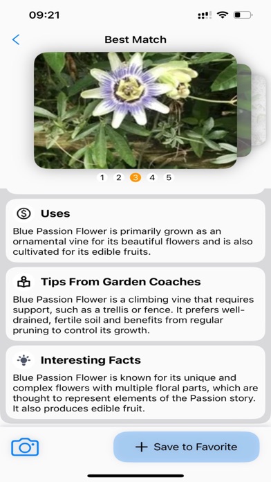 Plant Identifier: AI Scanner Screenshot