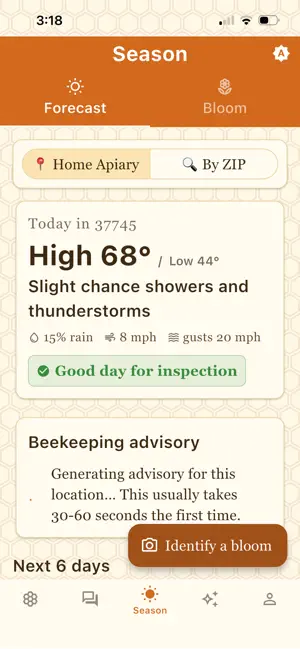 Beehiveful screenshot 1