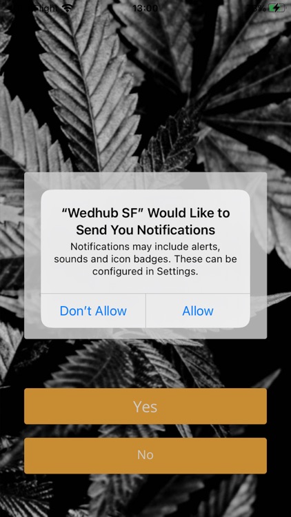 Weedhub SF