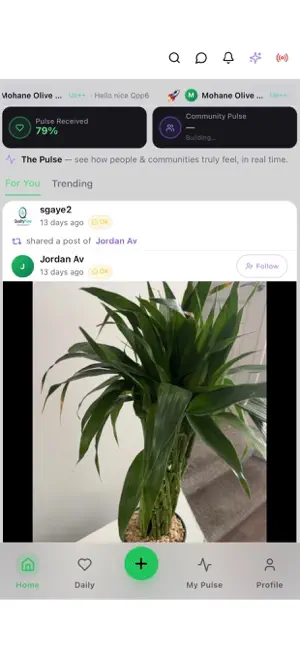 Pulse-Me screenshot 1