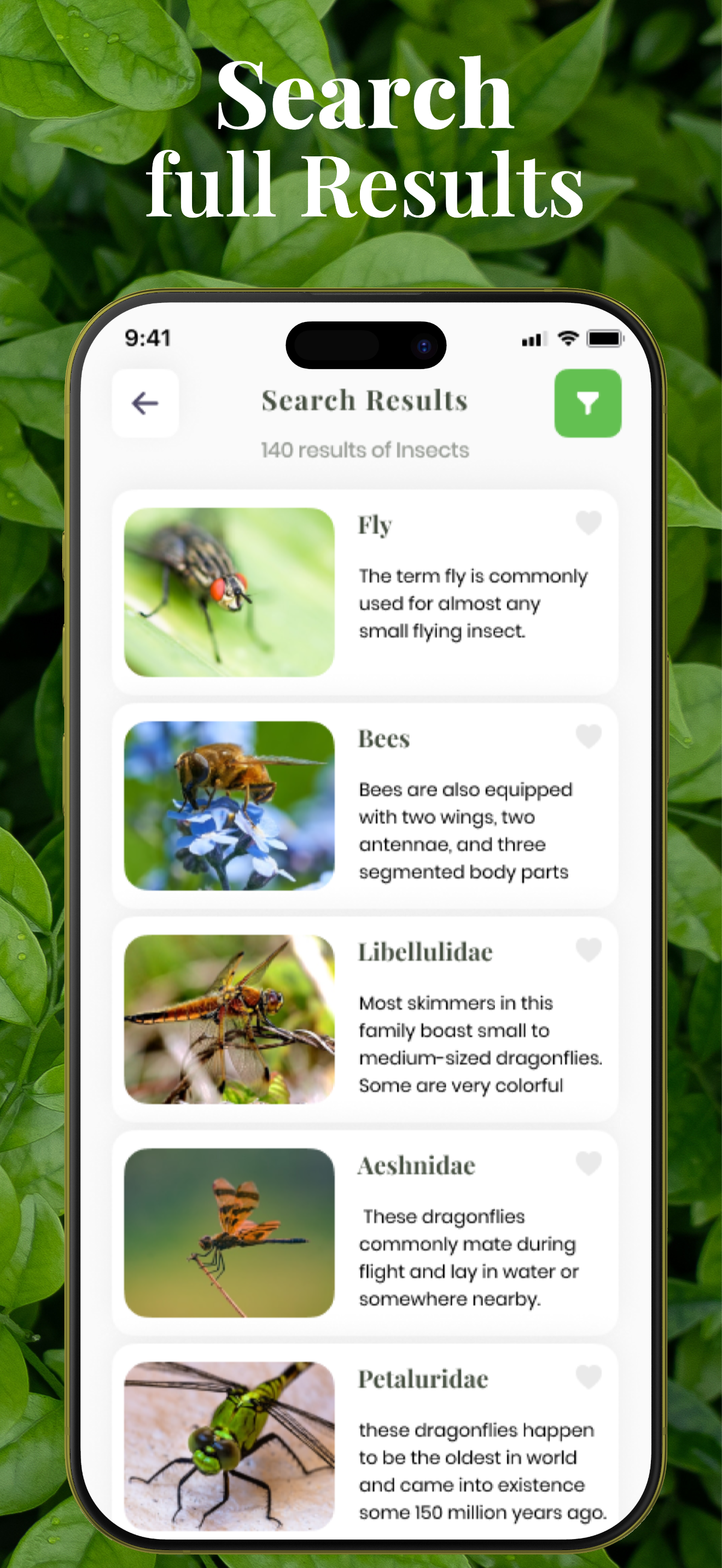 Bug Identifier - Insect,Spider screenshot 5