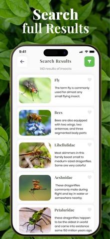 Bug Identifier - Insect,Spider Screenshot 5 of 5