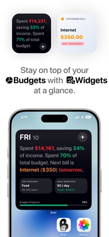 Brief: Expense Tracker iPhone screenshot