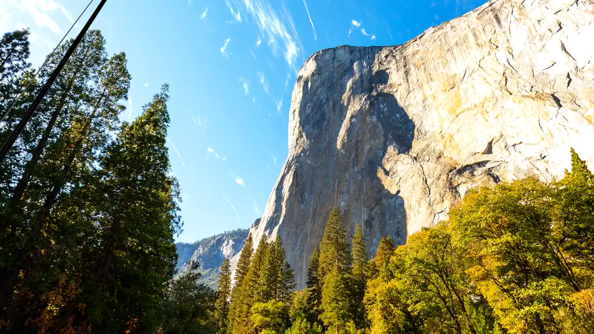 Fishing Haven screenshot 3